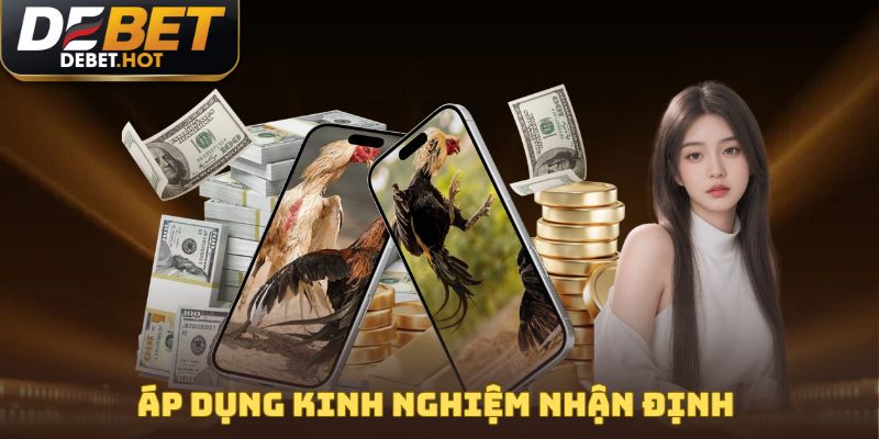 Áp dụng kinh nghiệm nhận định theo cách chọn gà chọi