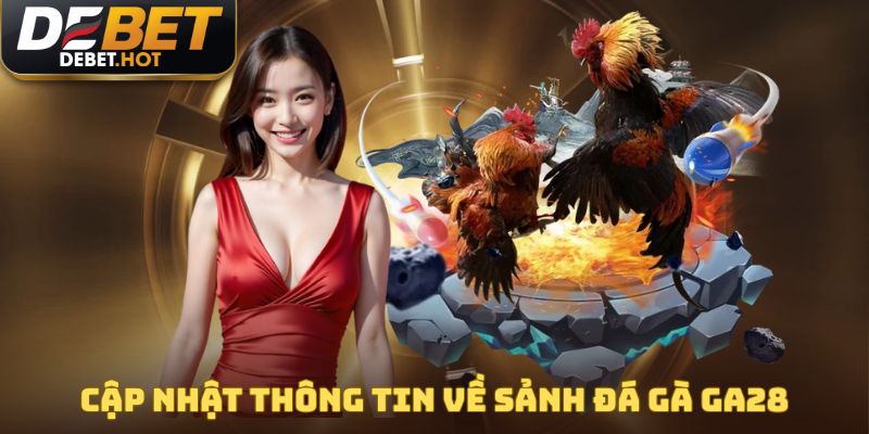 Đá Gà GA28 - Trải Nghiệm Hiệu Quả Cùng Hơn 500+ Trận Đấu 2 Cập nhật thông tin chuẩn xác về sảnh đá gà GA28