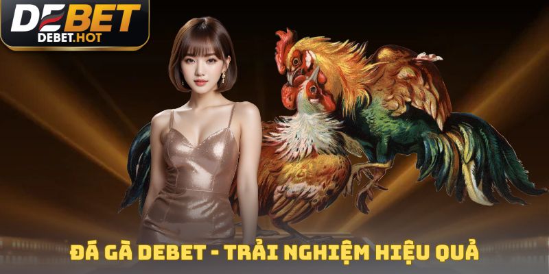 Đá gà DEBET