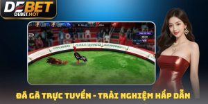 đá gà trực tuyến